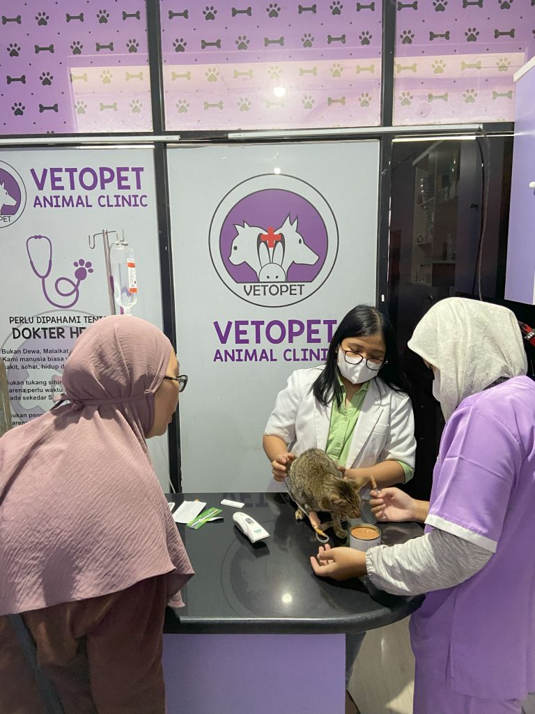 20221213_030909463_iOS