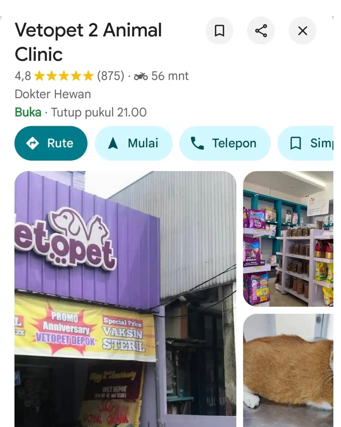 Vetopet 2 Depok