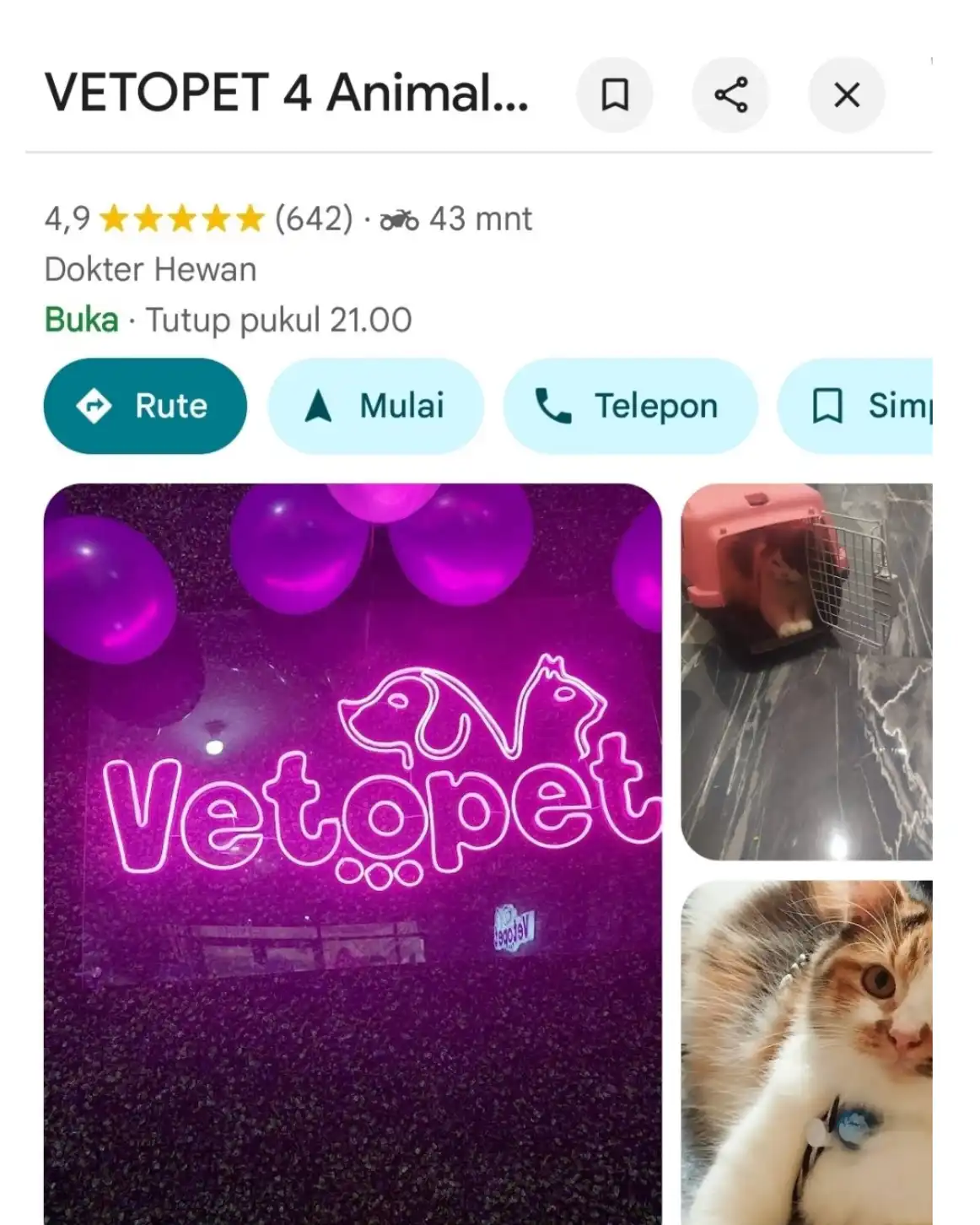 Vetopet 4 Mayor Oking