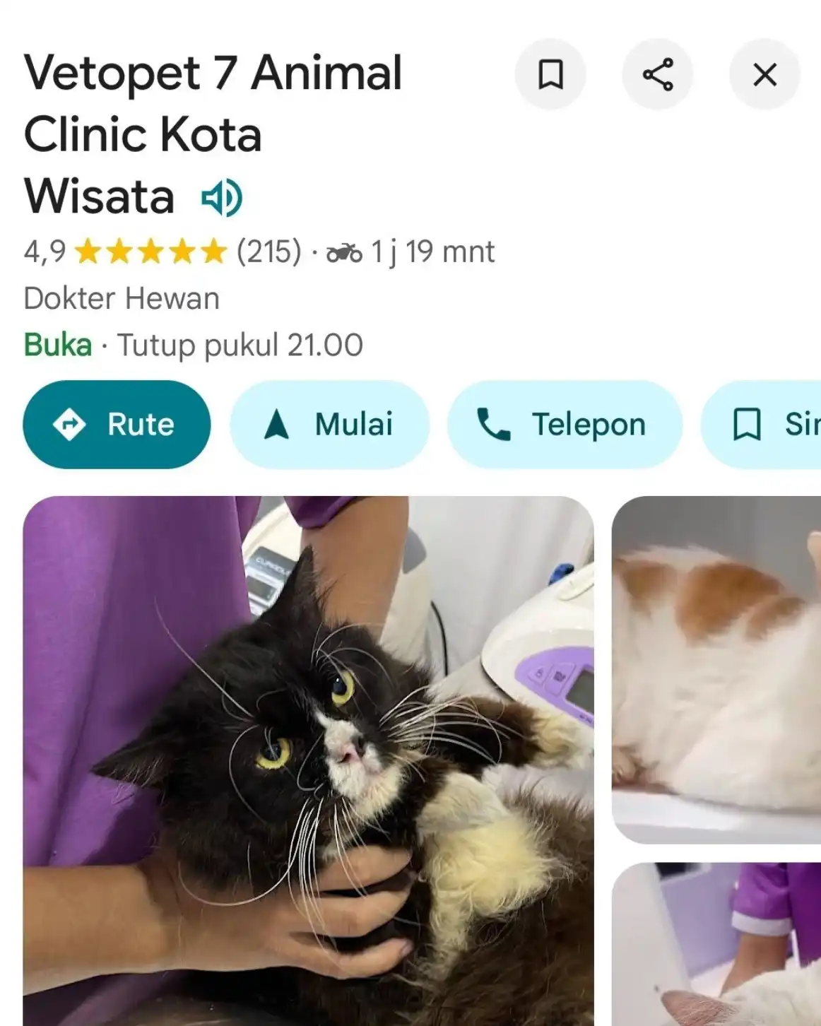 Vetopet 7 Kota Wisata