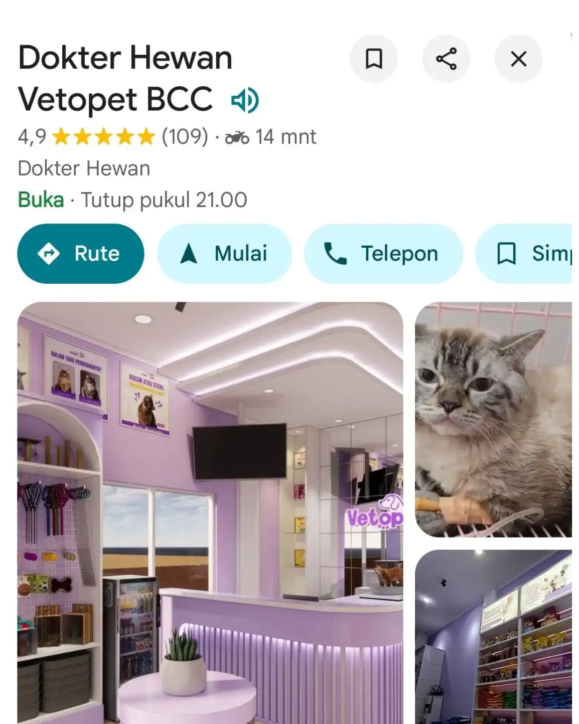 Vetopet 8 Bukit Cimanggu City
