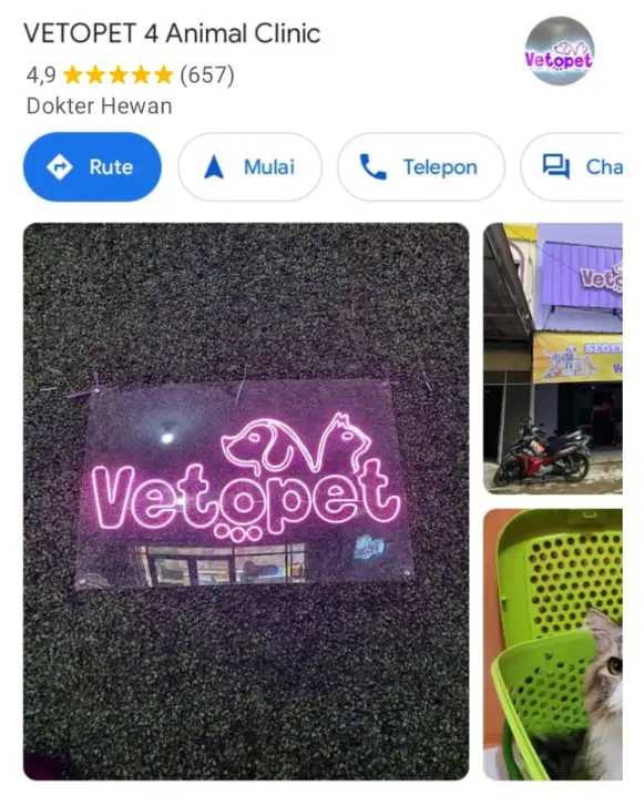 Vetopet 4 Mayor Oking