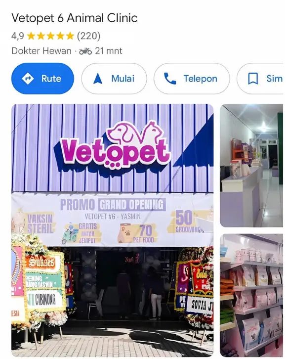 Vetopet 6 Yasmin