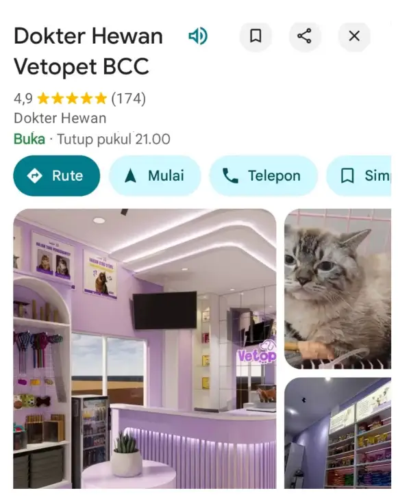 Vetopet 8 Bukit Cimanggu City